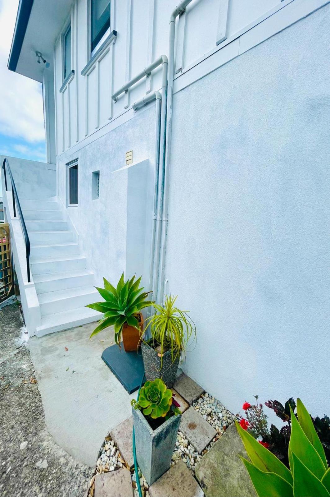 Giggly Nest Daire New Plymouth Dış mekan fotoğraf